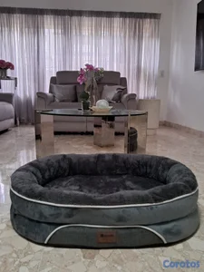 VENDO CAMA DE PERRO GRANDE Y COMODA