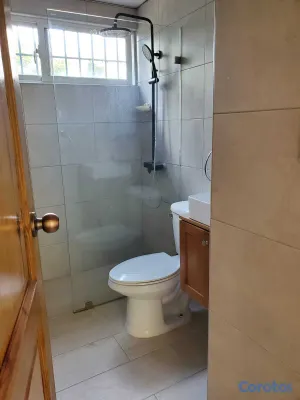 apartamentos - Apartamento en alquiler en Piantini 5