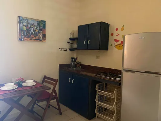 apartamentos - Apartamento amueblado de 1 habitación en la Zona Colonial, Santo Domingo 4