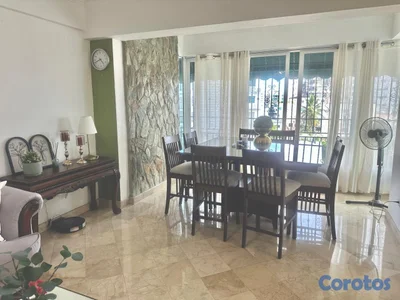 vendo penthouse en Renacimiento