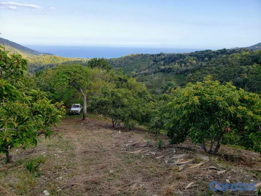 solares y terrenos - Vendo Finca de AGUACATE en Paraíso, BARAHONA, 255, 7