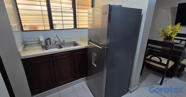 apartamentos - 1er piso amueblado las diana próximo a unión médica Santiago  19