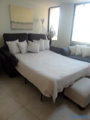 muebles y colchones - Sofa cama de 2 , Queen , Importado 9