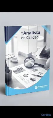 servicios profesionales - Asesoramiento en temas de aseguramiento de la calidad y auditorías internas 3