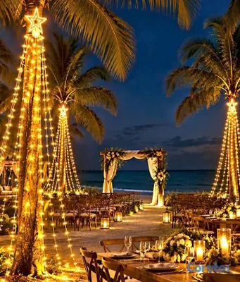 decoración y accesorios - Estrella de Luces de Navidad para Hogar,.Hoteles,Negocios, Proyectos y Parques
 3