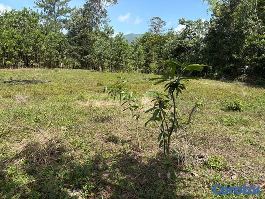 solares y terrenos - Los mogotes, Villa Altagracia. Terreno para construir la villa de tus sueños. 2