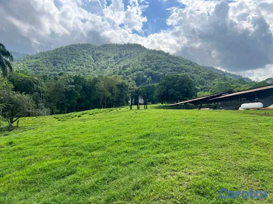 solares y terrenos - finca de criadero de animales en maimon 15