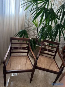 Sillas de madera y pajilla
