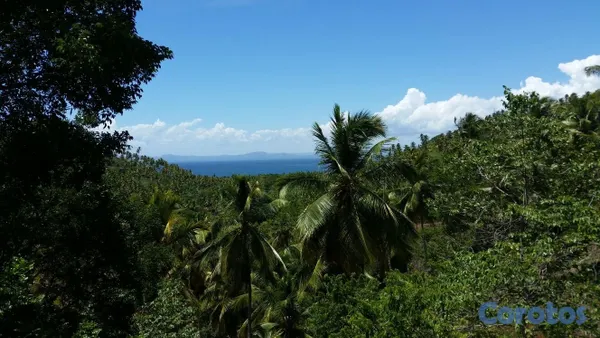 solares y terrenos - Vendo Terreno entre La Pascuala-Río los Cocos,SAMANÁ,Rep.Dominicana  10