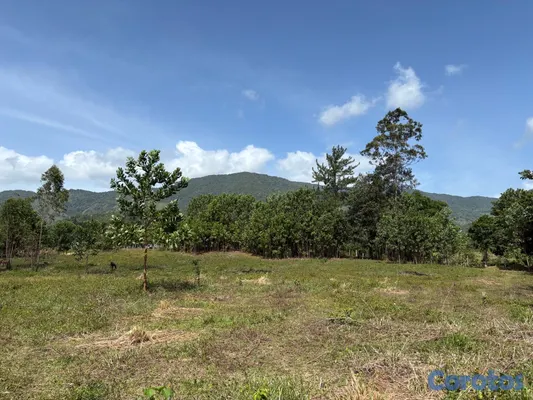 solares y terrenos - Venta de terreno en Los Mogotes, a solo 30 minutos de Santo Domingo. 2