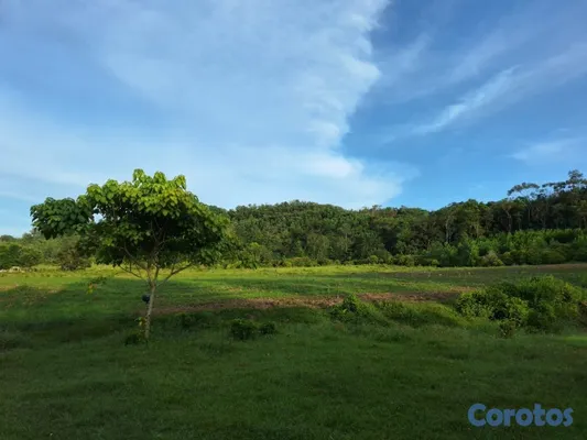 solares y terrenos - 🌿OPORTUNIDAD DE INVERSIÓN🌿 4