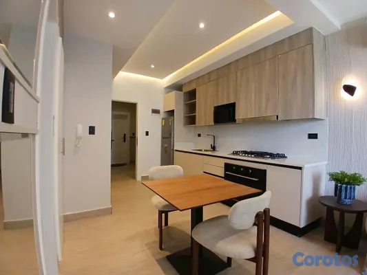 apartamentos - En alquiler confortable apartamento de 1 habitación en Bella Vista 6