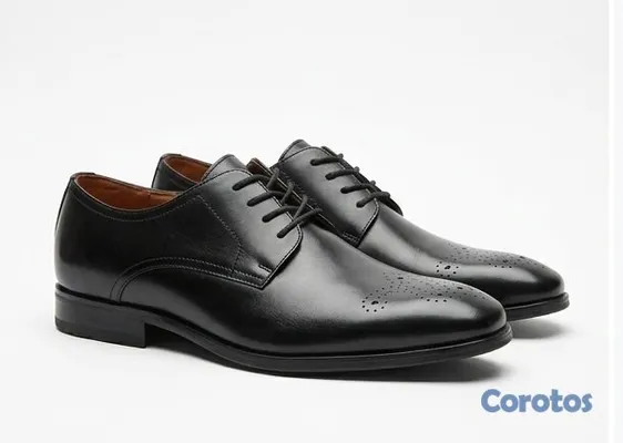 zapatos para hombre - zapatos florshein 4