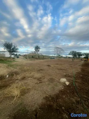 solares y terrenos - Se vende solar 2