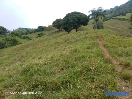 solares y terrenos - finca de 450 tareas con vocación ganadera en yamasa  17