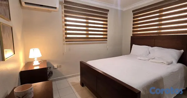 apartamentos - 1er piso amueblado las diana próximo a unión médica Santiago  6