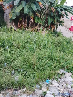 casas - Vendo casa con terreno solo acto de venta notariza 4
