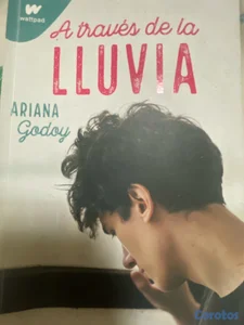 Libro a traves de la lluvia.