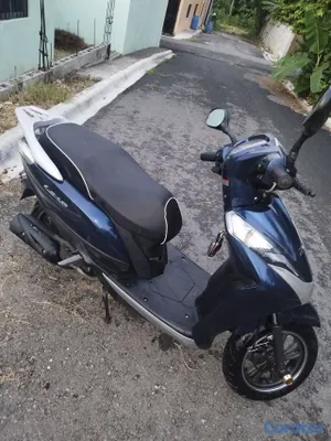 motores y pasolas - Pasola X1000 de 150cc 3