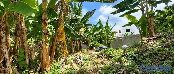 solares y terrenos - Venta de terreno– Prados del Cachón, Cancino, Sant 8