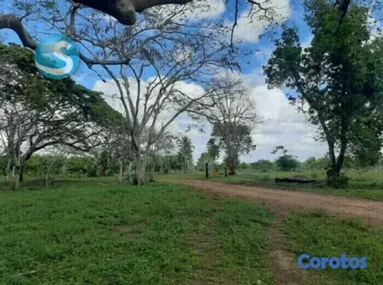 solares y terrenos - Solar en venta 10