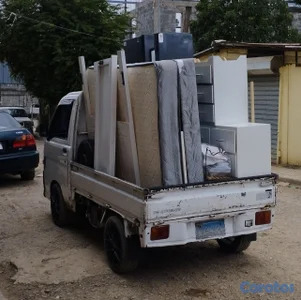 acarreo y mudanza 