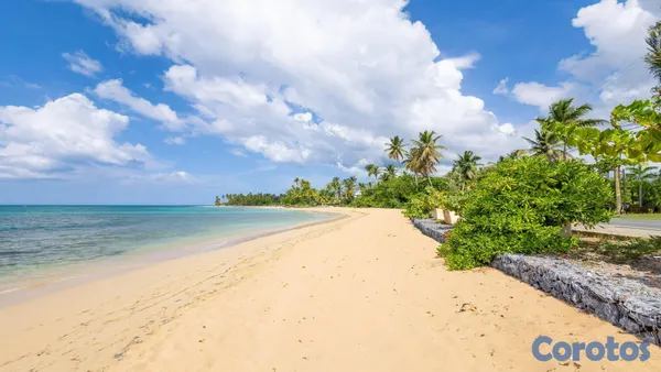 apartamentos - 🌴 Cómodo Apartamento a Pasos del Mar – ¡Disponible para Renta Mensual! 🌊 5