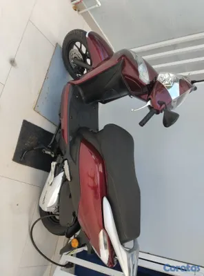 motores y pasolas - Cómo nueva Pasola MotorBison 2025 $84,500 4