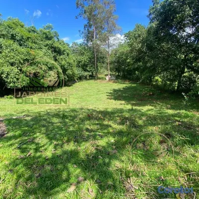 solares y terrenos - EDÉN 1ro🌳❤️ 8