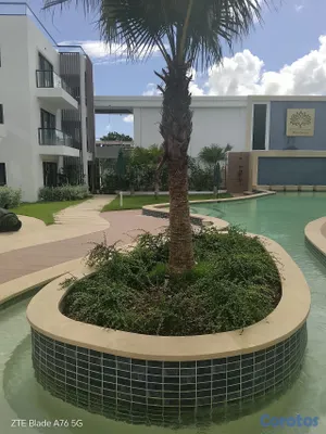 oficinas y locales comerciales - Dina Locales Punta Cana 8
