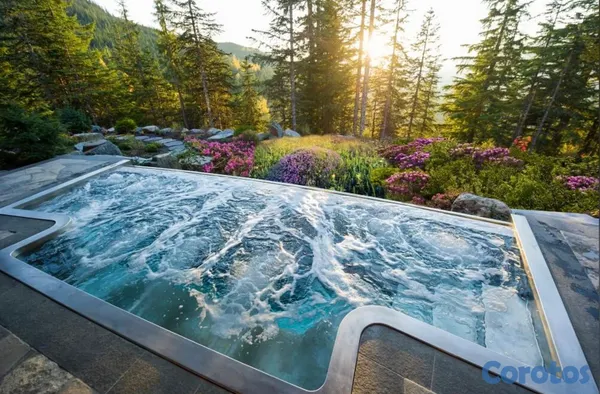 servicios profesionales - TwinOxide para Piscinas Jacuzzi Agua Cristalina, Desinfección Eficiente y Segura 2