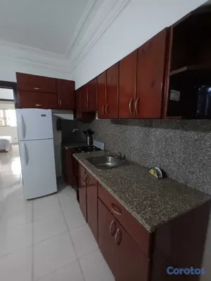 apartamentos - Gazcue alquilo apartamento una habitacion amueblad 2