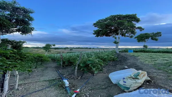 solares y terrenos - Vendo Finca de 70 Tareas en Moca, provincia Espaillat! 4