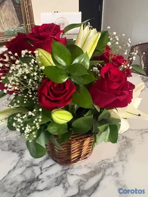 servicios profesionales - Tetefloristeriard  4