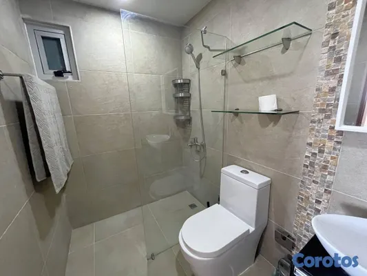 apartamentos - Apartamento en Alquiler en Piantini Amueblado de U 14