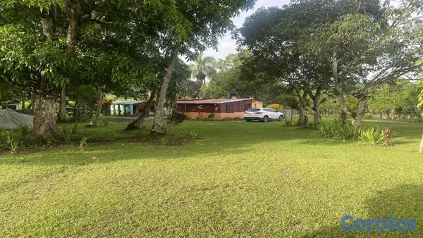solares y terrenos - FINCA EN LA MISMA CARRETERA MONTE PLATA 4