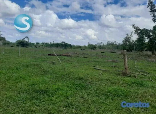 solares y terrenos - Solar en venta 6