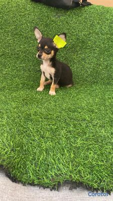 seller-logo