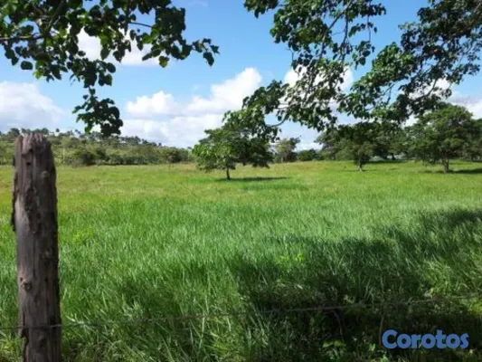 solares y terrenos - Finca en higue en el cerro 1356 mts2 tareas ID 883 2