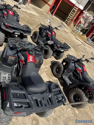 motores y pasolas - Loncin forweels 2025  12