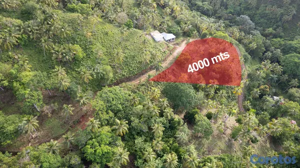 solares y terrenos - Vendo Terreno entre La Pascuala-Río los Cocos,SAMANÁ,Rep.Dominicana  3