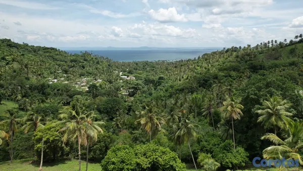 solares y terrenos - Vendo Terreno entre La Pascuala-Río los Cocos,SAMANÁ,Rep.Dominicana  5