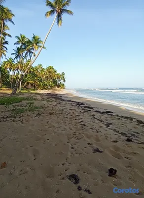 solares y terrenos - Solar de 1800 m² en 1ra Línea de Playa en Cosón Las Terrenas 8