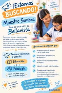 Se busca Maestro Sombra