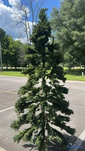 Vendo árbol de navidad importado 9 FT 