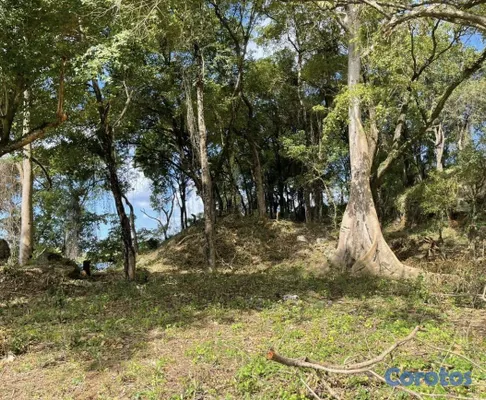 solares y terrenos - Terreno Exclusivo Frente al Mar en Carenero, Samaná 6