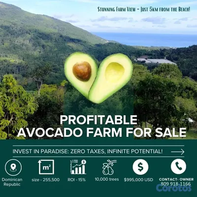 solares y terrenos - Vendo Finca de AGUACATE en Paraíso, BARAHONA, 255, 8