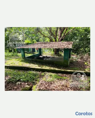 solares y terrenos - Mayor de ley🍃🏡 7