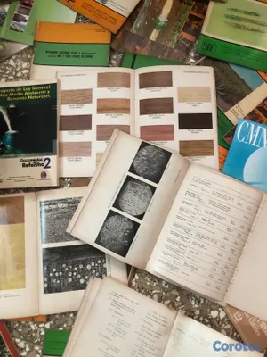 libros y revistas - Lote de publicaciones y revistas técnicas sobre Ciencia Forestal, Botánica 3