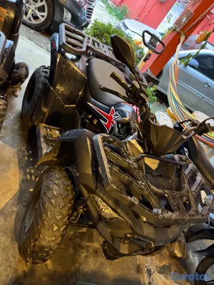 motores y pasolas - Loncin forweels 2025  3